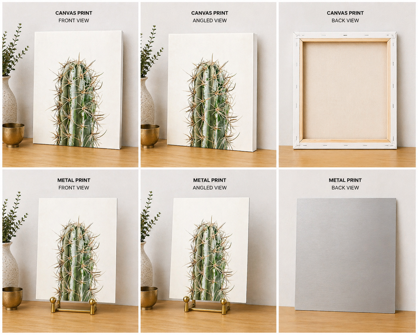Minimalist Cactus Canvas & Metal Print – Modern Desert Botanical Wall Art