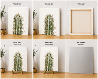 Minimalist Cactus Canvas & Metal Print – Modern Desert Botanical Wall Art