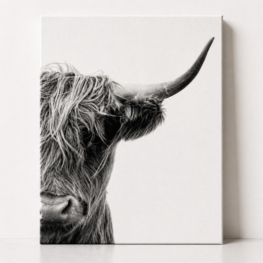 Minimalist Highland Cow Canvas & Metal Print – Black & White Farmhouse Wall Art
