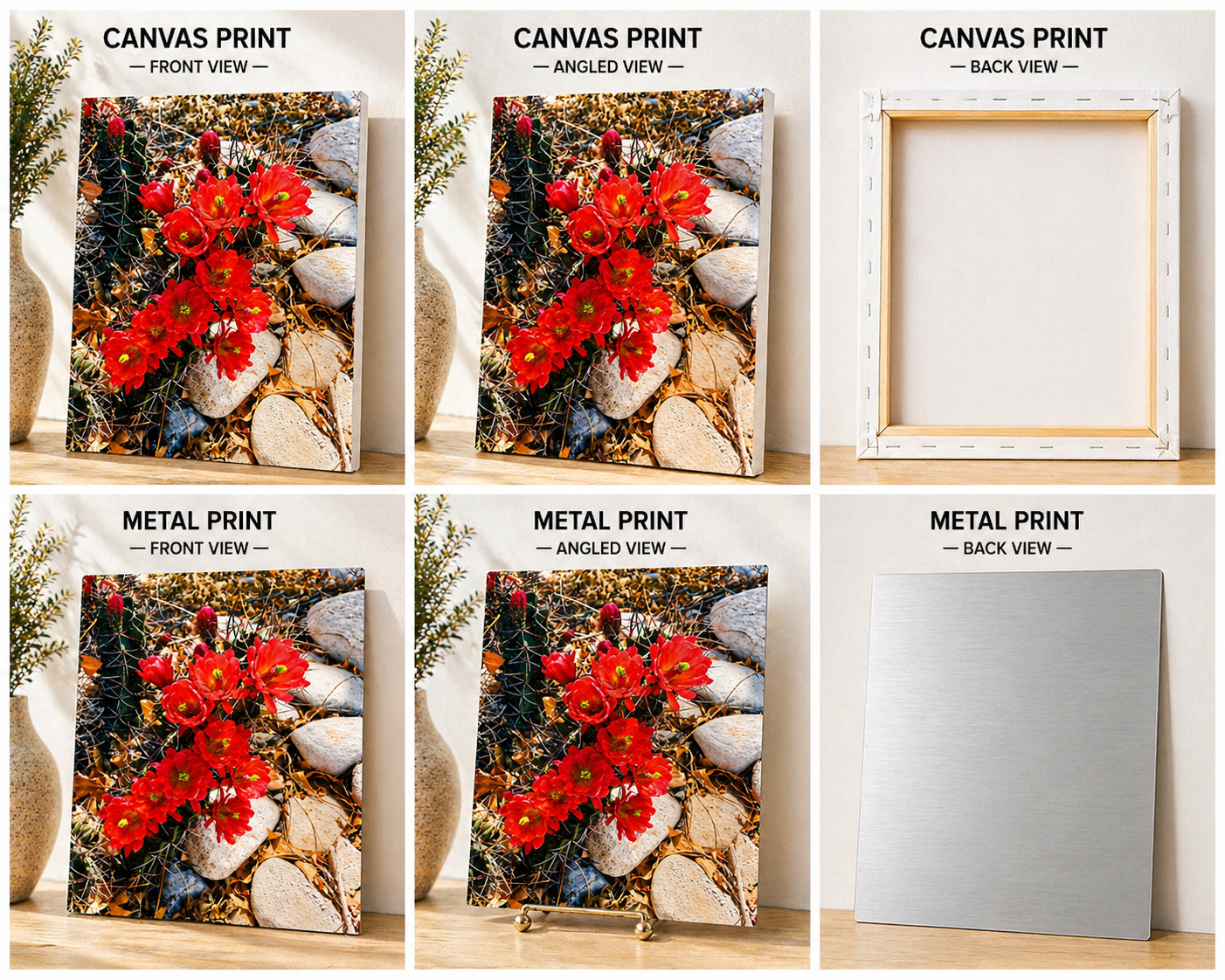 Desert Bloom Cactus Canvas & Metal Print – Carlsbad, NM Wildflower Photography