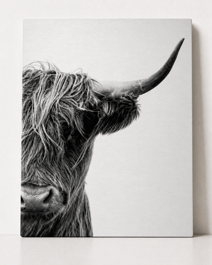 Minimalist Highland Cow Canvas & Metal Print – Black & White Farmhouse Wall Art